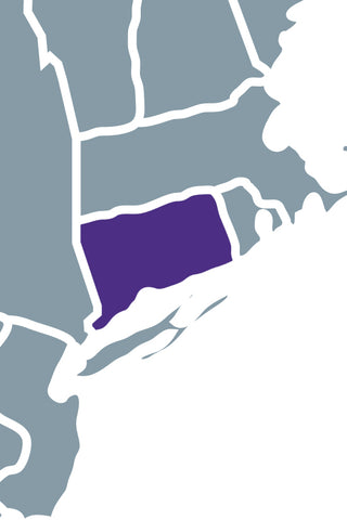 Lisa Varrone - CT